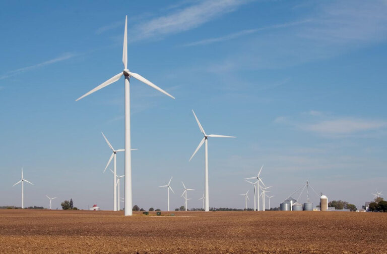 Wind turbines in field